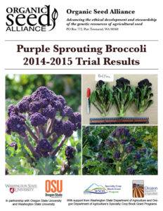 Purple-Sprouting-Broccoli-2014-5-Trial-Results