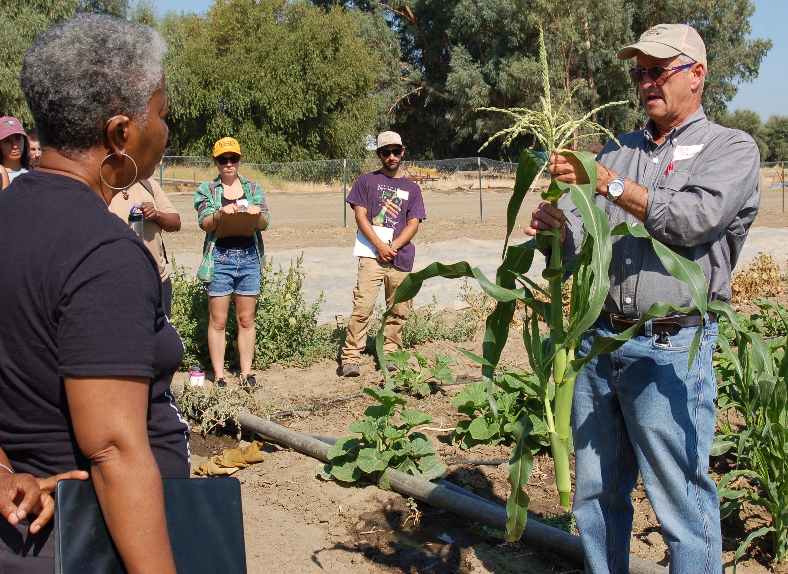 Dr. Bill Tracy from the University of Wisconsin - Madison discusses sweet corn at a University of California - Davis seed intensive hosted by Organic Seed Alliance