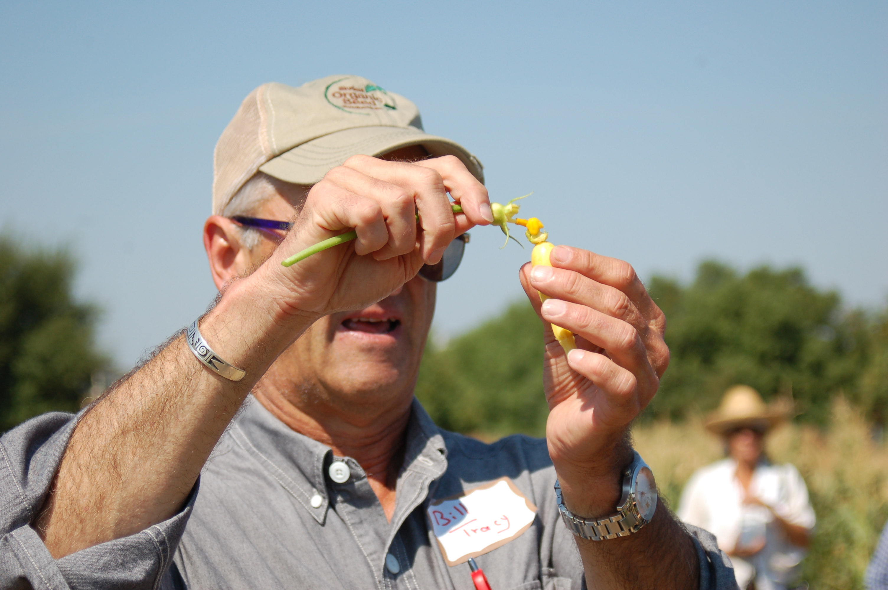 University of Wisconsin - Madison's Bill Tracy discusses pollination at a seed intensive hosted by the University of California - Davis and Organic Seed Alliance