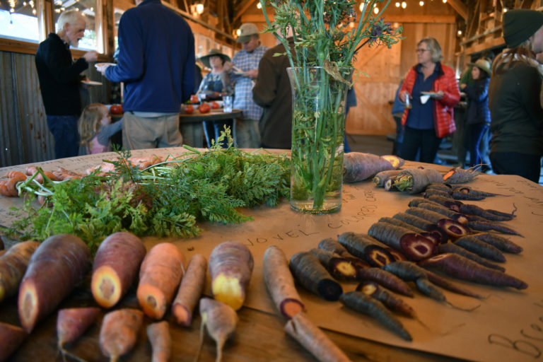 community-field-day-2019_carrot-table