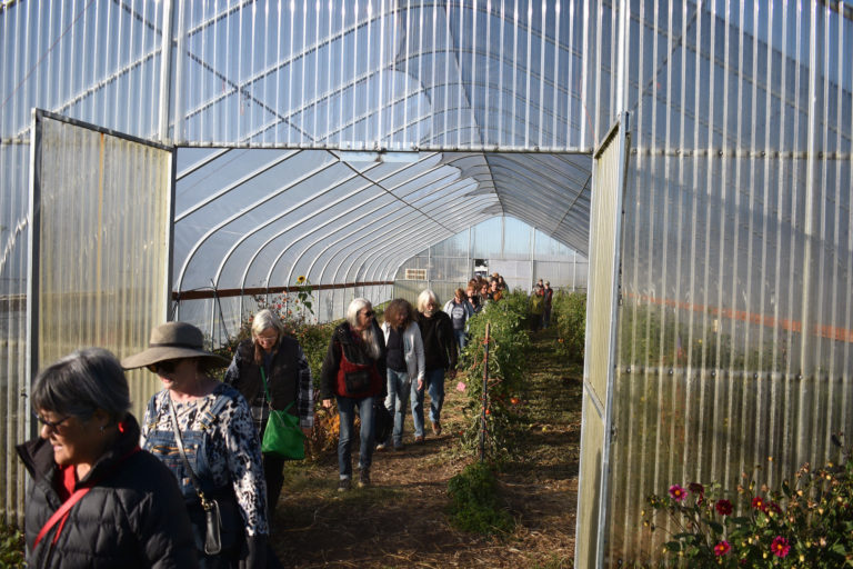 community-field-day-2019_greenhouse-participants