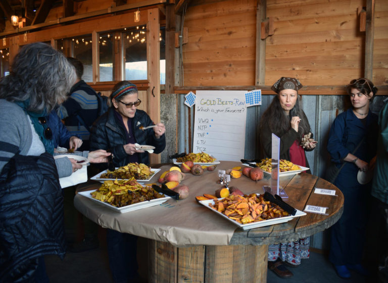 community-field-day-2019_tasting-table