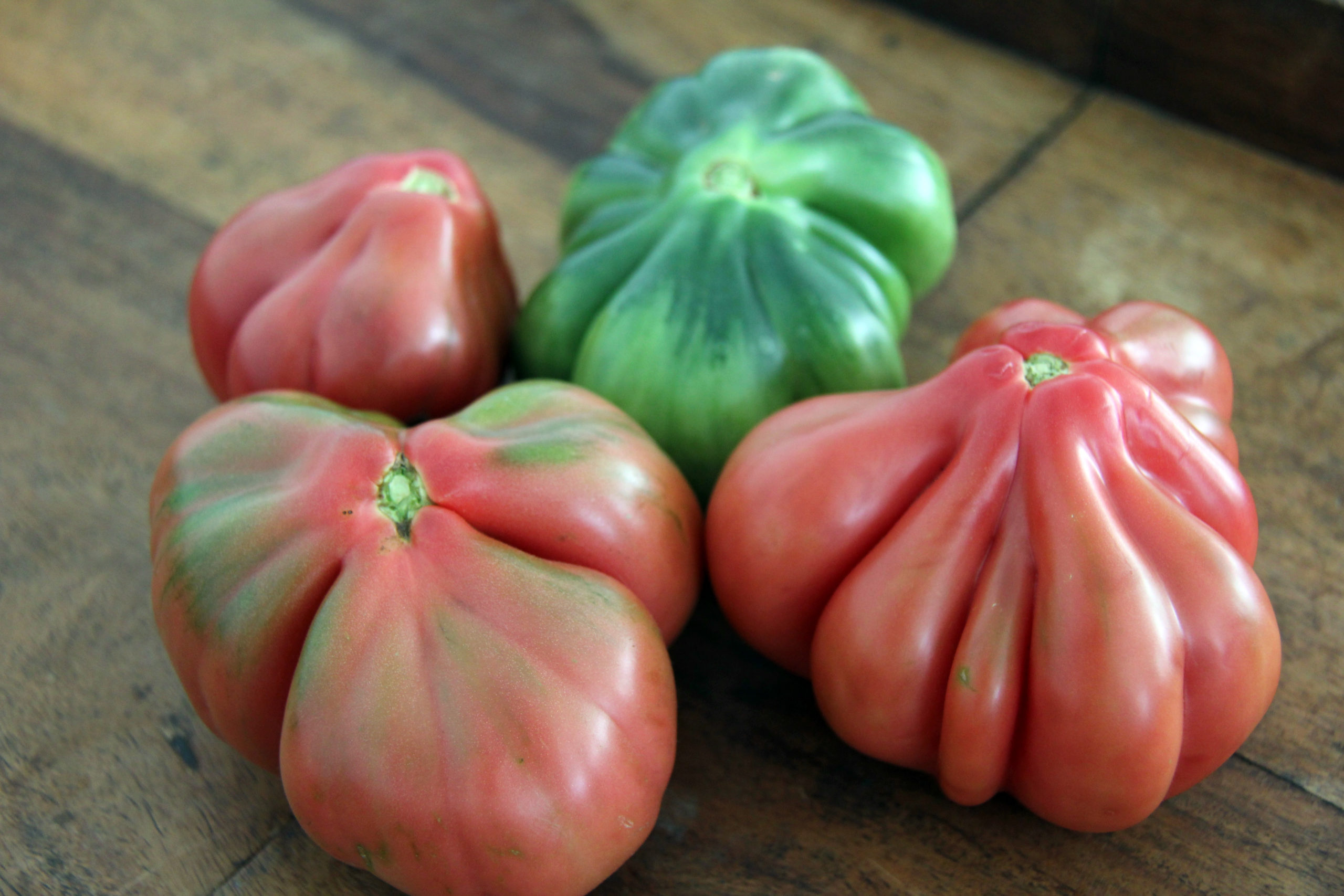 Is That Tomato Rotten Or Is It Safe to Eat?, Gardening Tips and How-To  Garden Guides