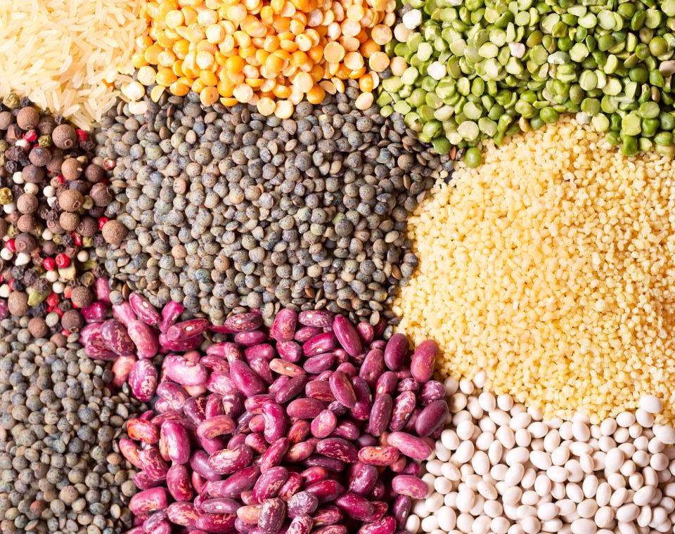 Our Seeds, Our Future: Protecting Biodiversity and Farmers' Rights ...