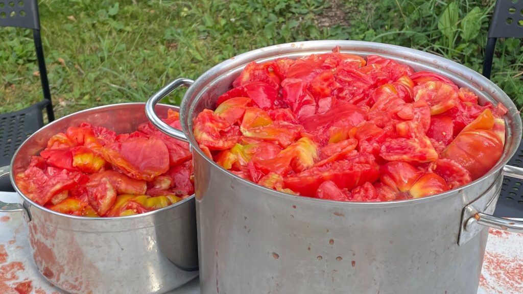 Two large stainless steel pots filled to the top with chopped tomatoes.