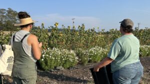 Two women stand facing a field of flowers on a sunny day. The woman on the left wears a striped tank top, overalls, and a straw hat, and holds a tote bag. The woman on the right wears a green t-shirt and jeans, and holds a black bin. The field is full of sunflowers and white and yellow flowers.