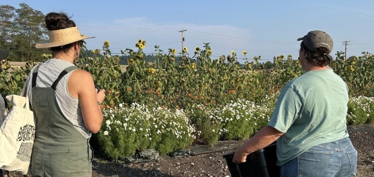 Two women stand facing a field of flowers on a sunny day. The woman on the left wears a striped tank top, overalls, and a straw hat, and holds a tote bag. The woman on the right wears a green t-shirt and jeans, and holds a black bin. The field is full of sunflowers and white and yellow flowers.