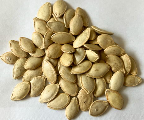 Close-up of clean, dried organic summer squash seeds piled on a white background.